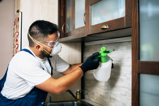 Best Pest Removal Services  in Russell, KS