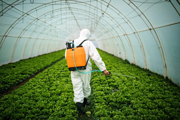 Best Best Pest Control Companies  in Russell, KS