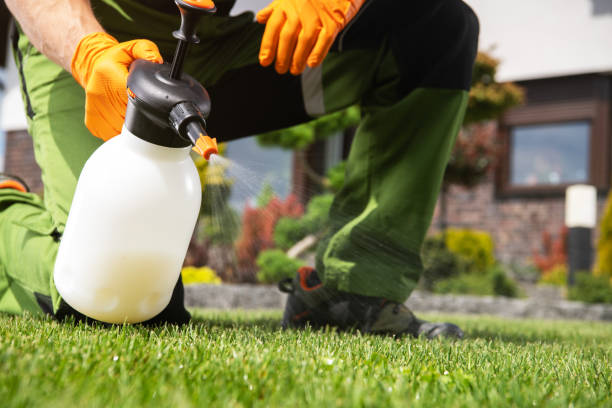 Best Best Pest Control Near Me  in Russell, KS