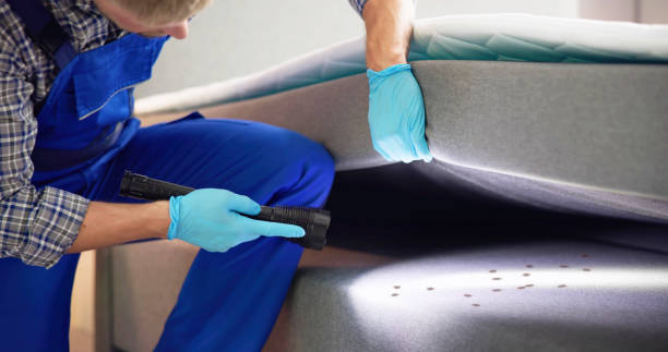 Professional Pest Control in Russell, KS