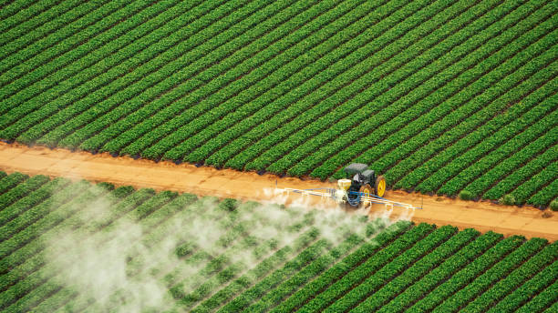 Best Mosquito Control Services  in Russell, KS