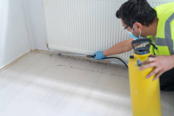 Best Termite Control Services  in Russell, KS