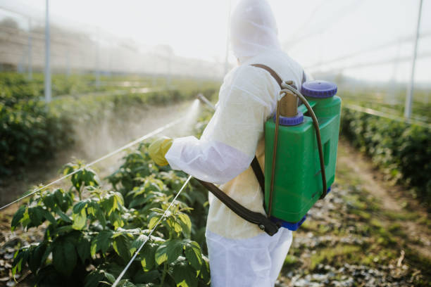 Best Affordable Pest Control Services  in Russell, KS